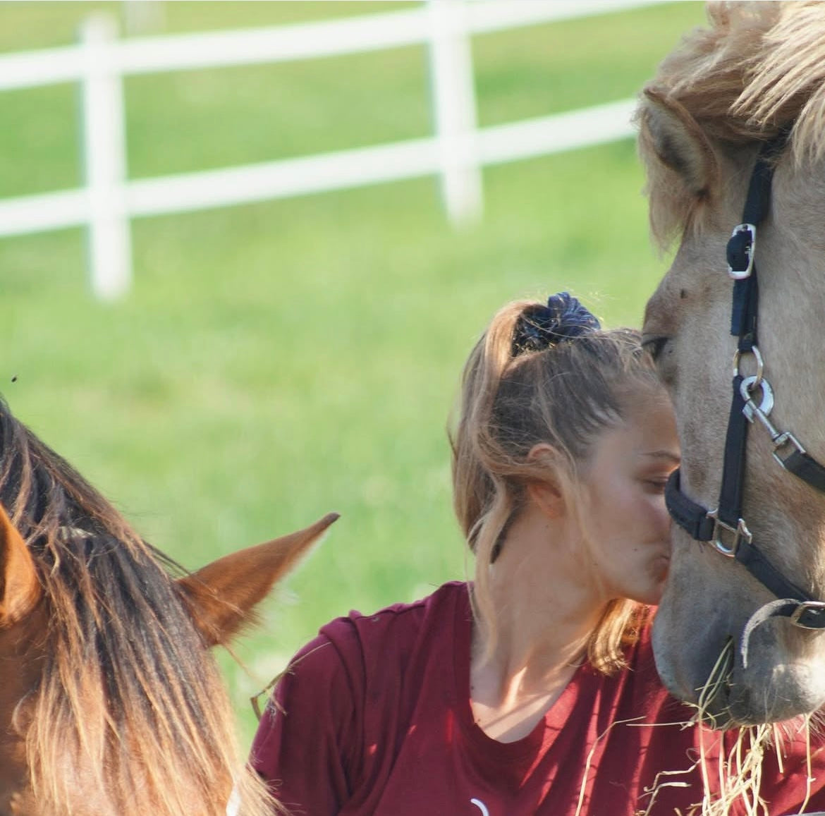 Stald læsning 👨‍👩‍👧‍👦